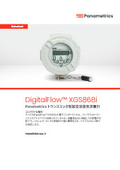 パナメトリクス　蒸気流量計　XGS868i