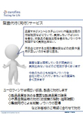 監査代行サービス
