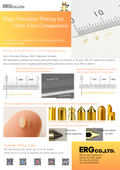 ERG plating for fine (ultra-fine) components (surface treatment)
