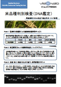 米品種判別検査（DNA鑑定）　カタログ
