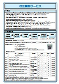 校正業務サービス(シャント以外）