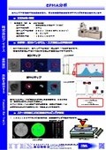 EPMA analysis