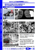 Observation of fracture surfaces using SEM: crab clasp