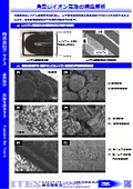 Structural analysis of prismatic Li-ion batteries.