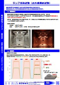 Lamp heating test (infrared irradiation test)