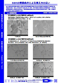 Differences in appearance due to SEM observation conditions.