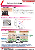 High ionic conductivity polymer electrolyte