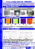 Evaluation of distortion and birefringence of products/materials by WPA.