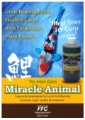 Miracle Animal Koi Product Catalog