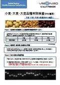 小麦・大麦・大豆品種判別検査（DNA鑑定）