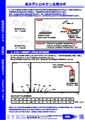 低分子シロキサン定量分析