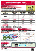 Product: Diallyl Phthalate Resin (DAP Resin) - High Tracking Resistance Thermosetting Resin -