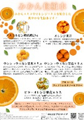 みかん化粧水ご提案書