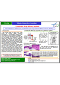 Tohoku University Technology: Lymphatic drug delivery system: T17-036