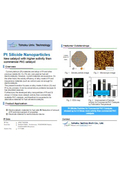Tohoku Univ. Technology :Pt Silicide Nanoparticles : T17-068