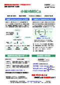 小林HMBCa