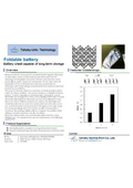 Tohoku Univ. Technology :Foldable battery : T19-848