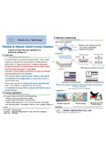Tohoku Univ. Technology : Flexible & Robust Liquid Crystal Displays : T23-063