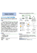 北海道大学技術：メゾスコピック粒子の作成法：HK24-007