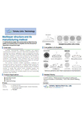 Tohoku Univ. Technology : Multilayer structure and its manufacturing method : T24-027