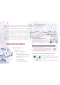 Azufureiya Co., Ltd. - Company Overview
