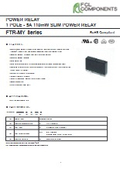 Power Relay "FTR-MY"