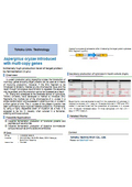 Tohoku Univ. Technology :Aspergillus oryzae introduced with multi-copy genes : T24-084
