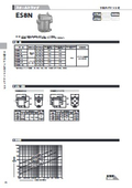 Bucket-type steam trap model ES8N