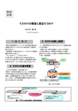 丹和工業 SFディスク 100x16 ( 入数3 ) カタログ | 進和 - Powered by イプロスものづくり