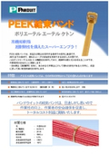 ＰＥＥＫ結束バンド