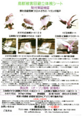 鳥獣被害回避立体視シート カタログ