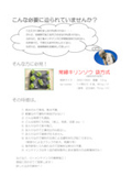 常緑キリンソウ 袋方式