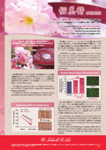 コンプレックスエキス『桜美精』カタログ