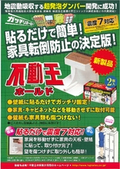 不動王ホールド
