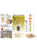 発酵発芽玄米A4パンフレット