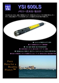 高精度水位計　Model 600 LSの表紙画像です