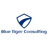 Blue Tiger Consulting