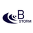 株式会社B-STORM