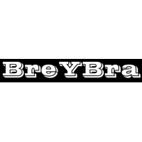 株式会社ブレイブラロゴ