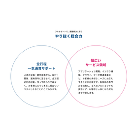 株式会社システムエグゼ
