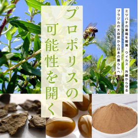 アセット 1@2x.png