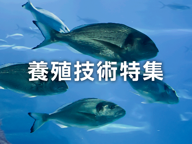 Aquaculture_1240_930.png