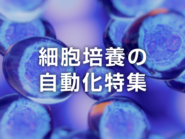 auto-cell-culture_1240_930.png