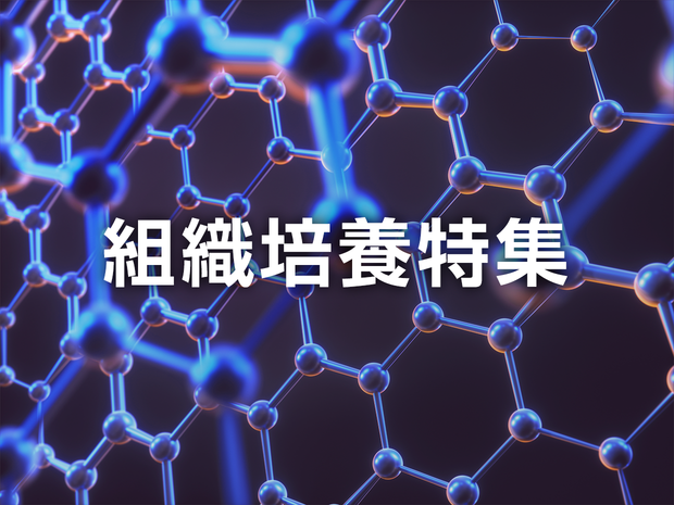 soshikibaiyo_1240_930.png