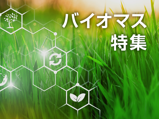 biomass_1240_930.png