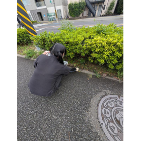 メディア.jpg