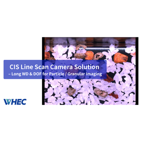 2月分Youtube_サムネイル (2).png