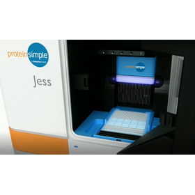 シンプルウェスタン