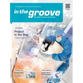In The Groove