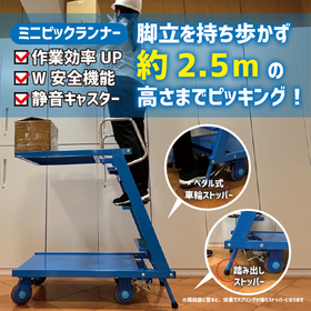 Trolley and step stool "Mini Pick Runner"